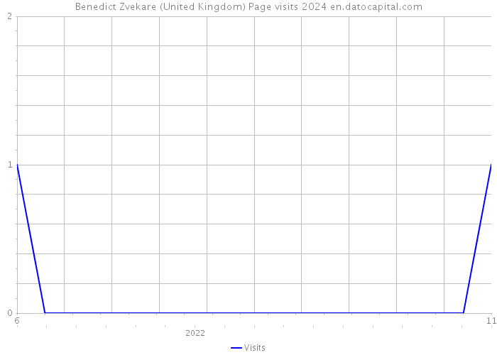 Benedict Zvekare (United Kingdom) Page visits 2024 