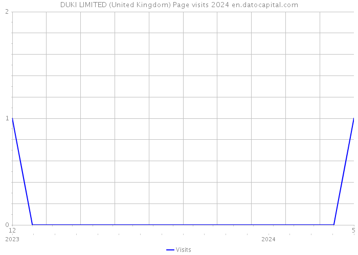 DUKI LIMITED (United Kingdom) Page visits 2024 