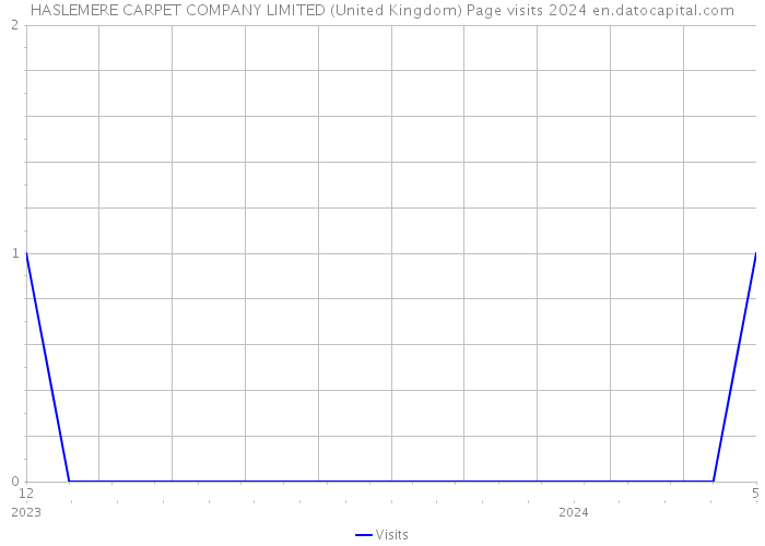 HASLEMERE CARPET COMPANY LIMITED (United Kingdom) Page visits 2024 