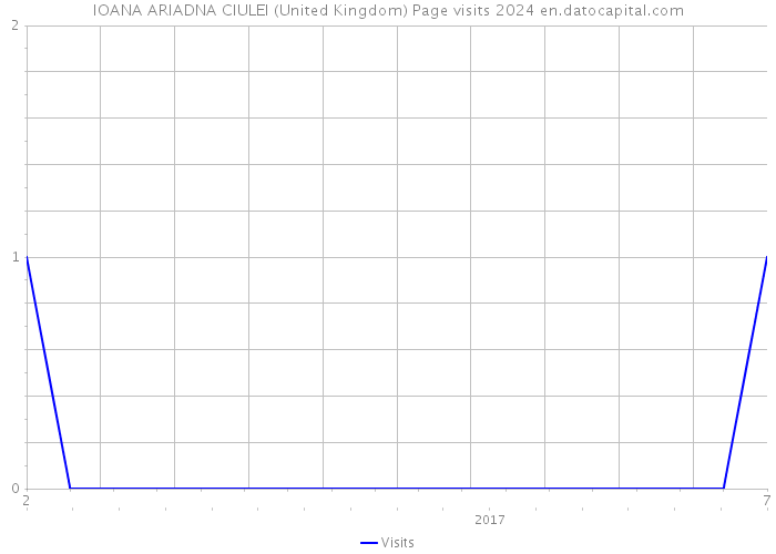IOANA ARIADNA CIULEI (United Kingdom) Page visits 2024 