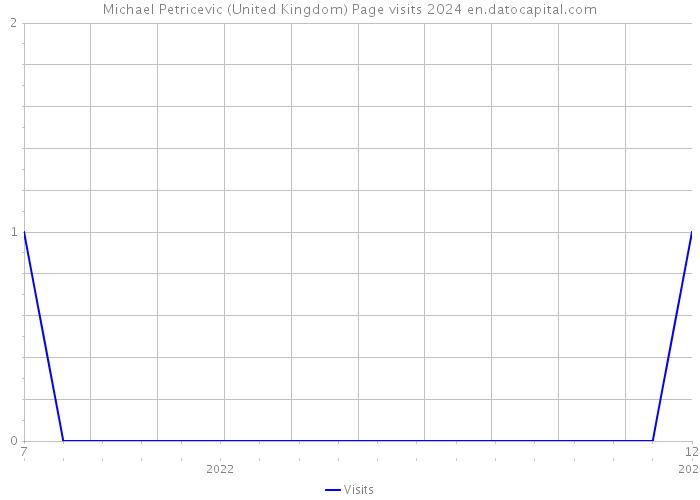 Michael Petricevic (United Kingdom) Page visits 2024 
