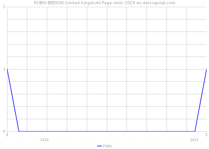 ROBIN BEESON (United Kingdom) Page visits 2024 