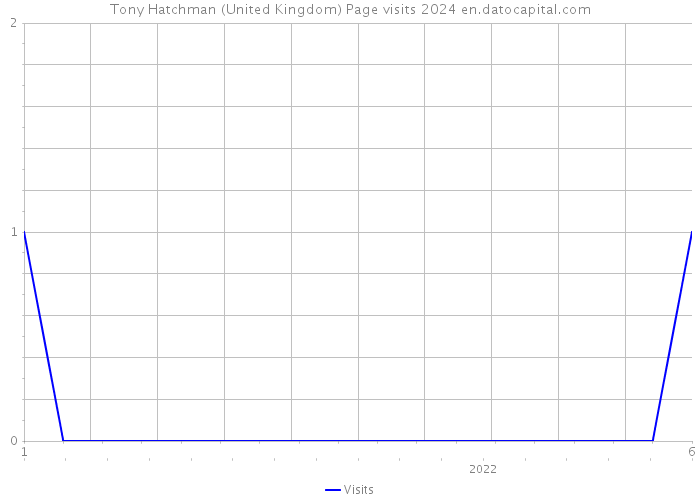 Tony Hatchman (United Kingdom) Page visits 2024 