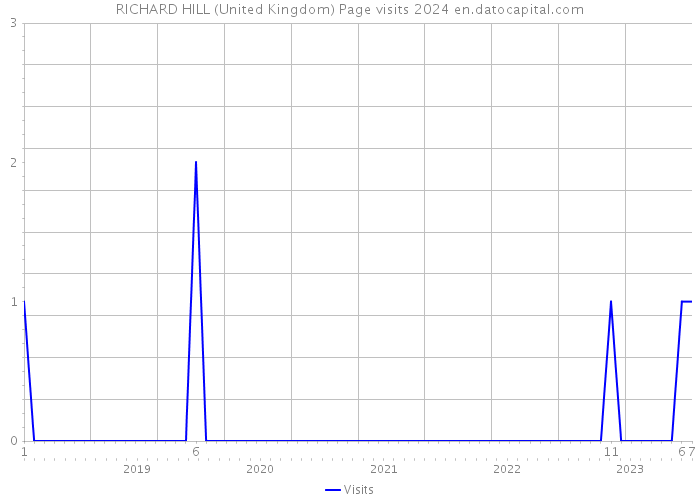 RICHARD HILL (United Kingdom) Page visits 2024 