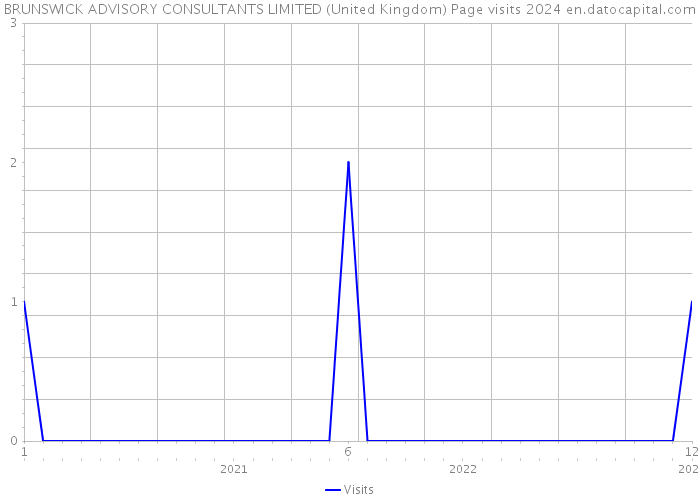 BRUNSWICK ADVISORY CONSULTANTS LIMITED (United Kingdom) Page visits 2024 