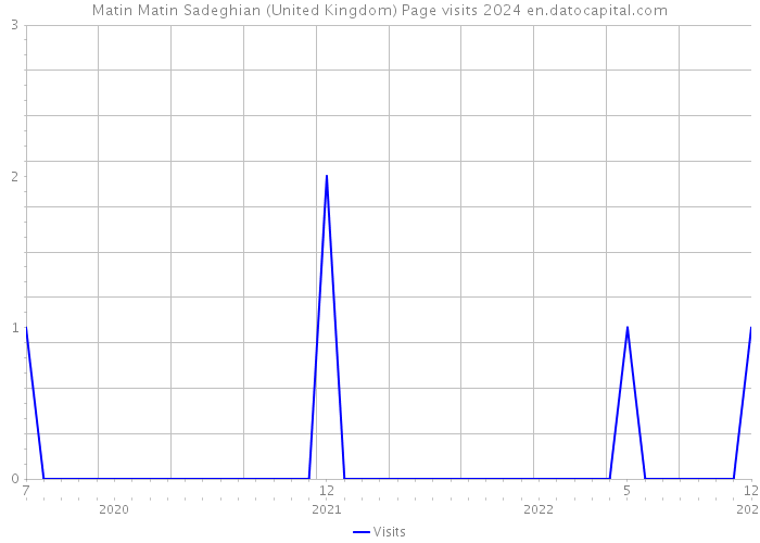 Matin Matin Sadeghian (United Kingdom) Page visits 2024 