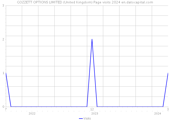 GOZZETT OPTIONS LIMITED (United Kingdom) Page visits 2024 
