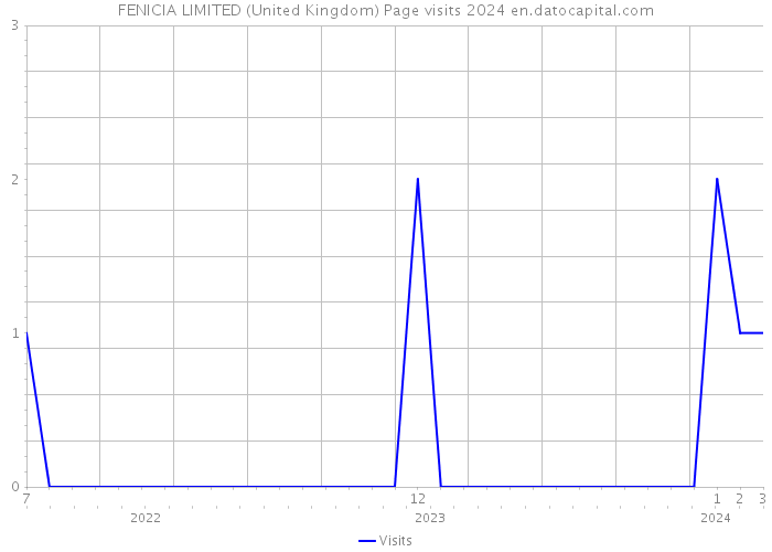 FENICIA LIMITED (United Kingdom) Page visits 2024 