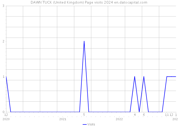 DAWN TUCK (United Kingdom) Page visits 2024 