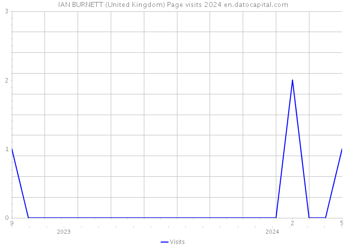 IAN BURNETT (United Kingdom) Page visits 2024 