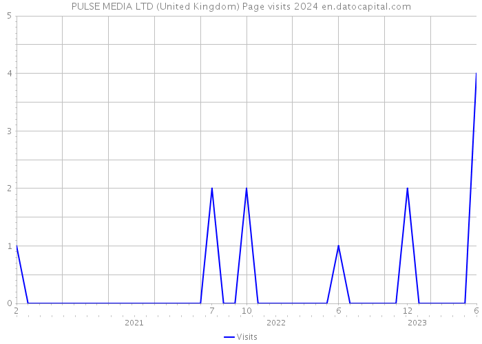 PULSE MEDIA LTD (United Kingdom) Page visits 2024 