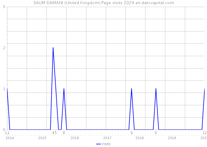 SALIM DAMANI (United Kingdom) Page visits 2024 