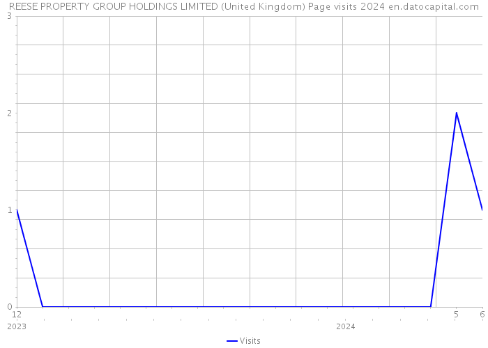 REESE PROPERTY GROUP HOLDINGS LIMITED (United Kingdom) Page visits 2024 