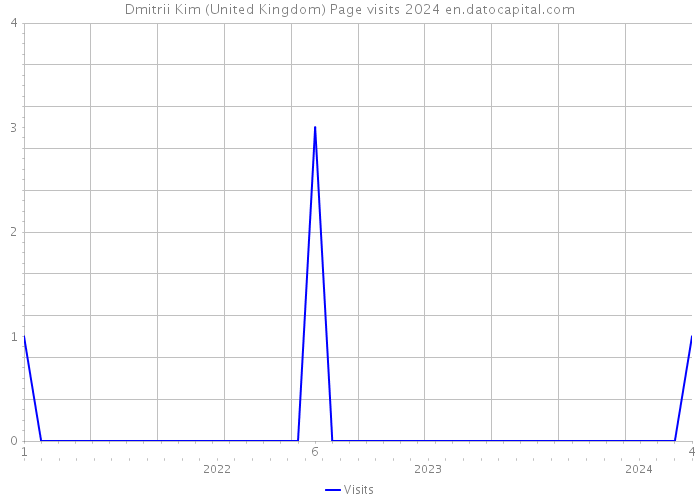 Dmitrii Kim (United Kingdom) Page visits 2024 