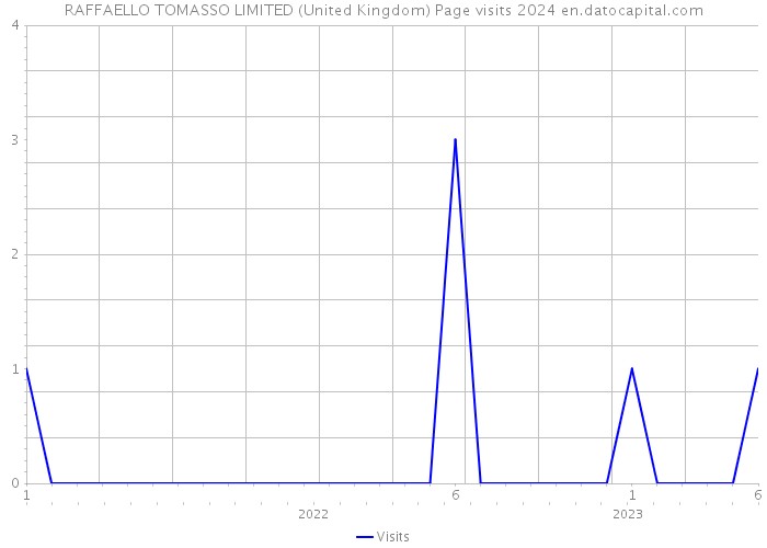 RAFFAELLO TOMASSO LIMITED (United Kingdom) Page visits 2024 