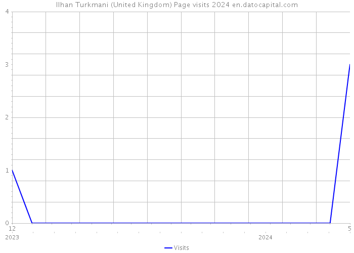 Ilhan Turkmani (United Kingdom) Page visits 2024 