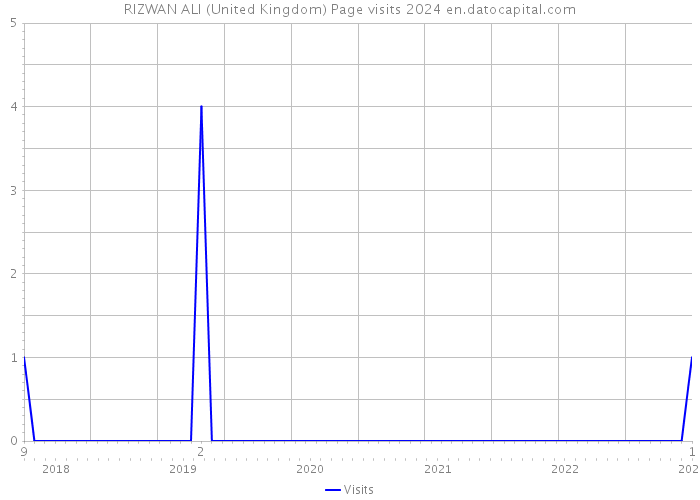 RIZWAN ALI (United Kingdom) Page visits 2024 