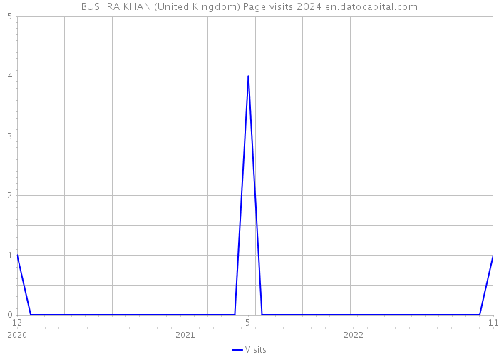 BUSHRA KHAN (United Kingdom) Page visits 2024 