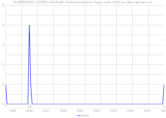 FLORENTINO CASTRO AGUILAR (United Kingdom) Page visits 2024 
