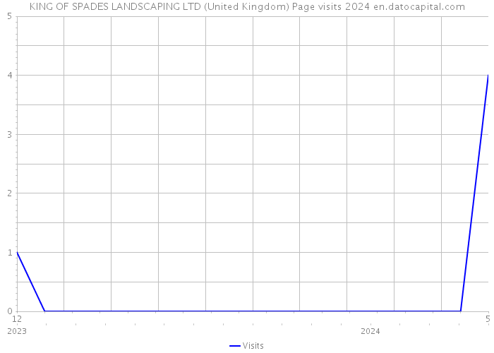 KING OF SPADES LANDSCAPING LTD (United Kingdom) Page visits 2024 