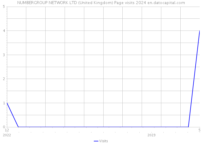 NUMBERGROUP NETWORK LTD (United Kingdom) Page visits 2024 