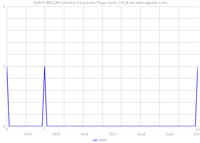 SURIA BEGUM (United Kingdom) Page visits 2024 