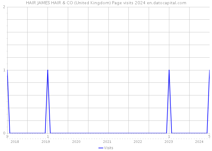 HAIR JAMES HAIR & CO (United Kingdom) Page visits 2024 