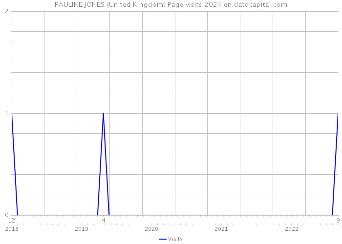 PAULINE JONES (United Kingdom) Page visits 2024 