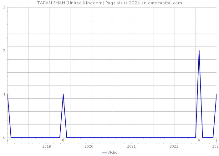 TAPAN SHAH (United Kingdom) Page visits 2024 