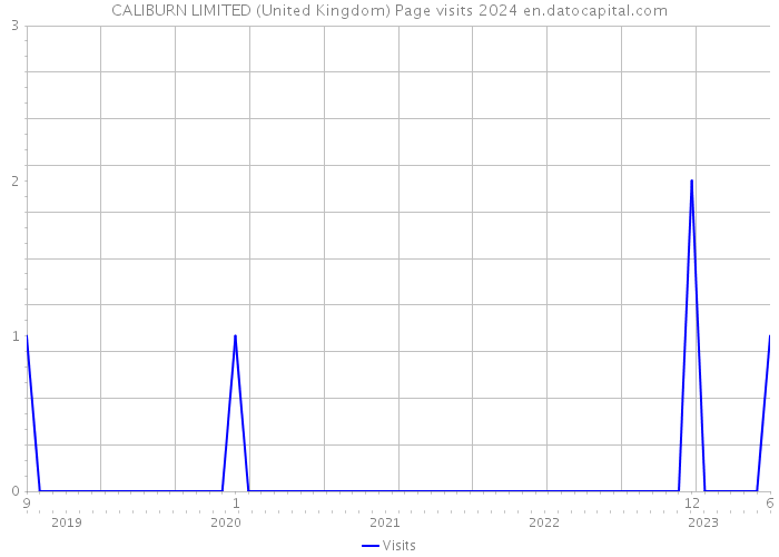 CALIBURN LIMITED (United Kingdom) Page visits 2024 