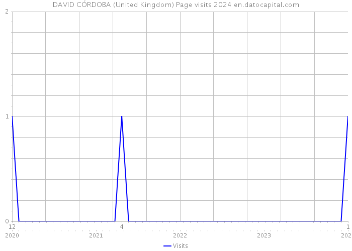 DAVID CÓRDOBA (United Kingdom) Page visits 2024 