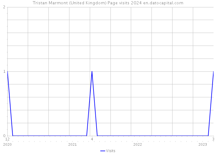 Tristan Marmont (United Kingdom) Page visits 2024 