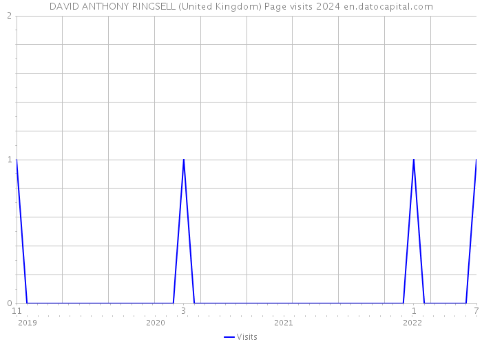 DAVID ANTHONY RINGSELL (United Kingdom) Page visits 2024 