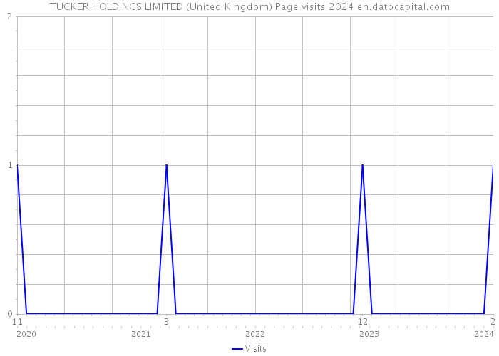 TUCKER HOLDINGS LIMITED (United Kingdom) Page visits 2024 