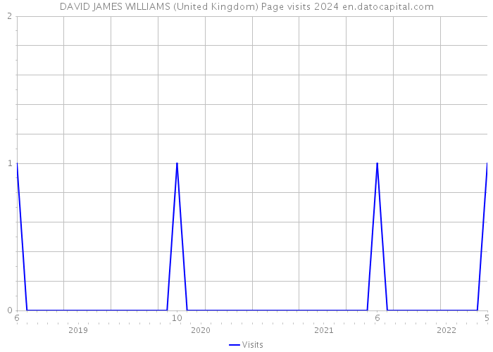 DAVID JAMES WILLIAMS (United Kingdom) Page visits 2024 