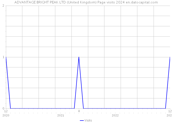 ADVANTAGE BRIGHT PEAK LTD (United Kingdom) Page visits 2024 