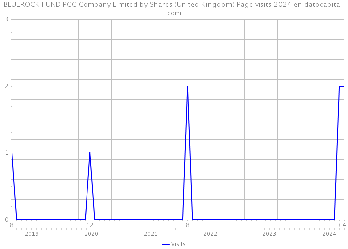 BLUEROCK FUND PCC Company Limited by Shares (United Kingdom) Page visits 2024 