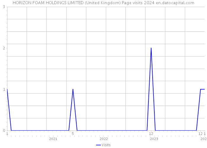 HORIZON FOAM HOLDINGS LIMITED (United Kingdom) Page visits 2024 