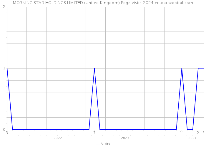 MORNING STAR HOLDINGS LIMITED (United Kingdom) Page visits 2024 
