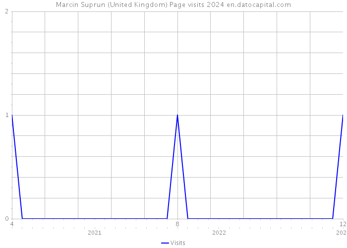 Marcin Suprun (United Kingdom) Page visits 2024 