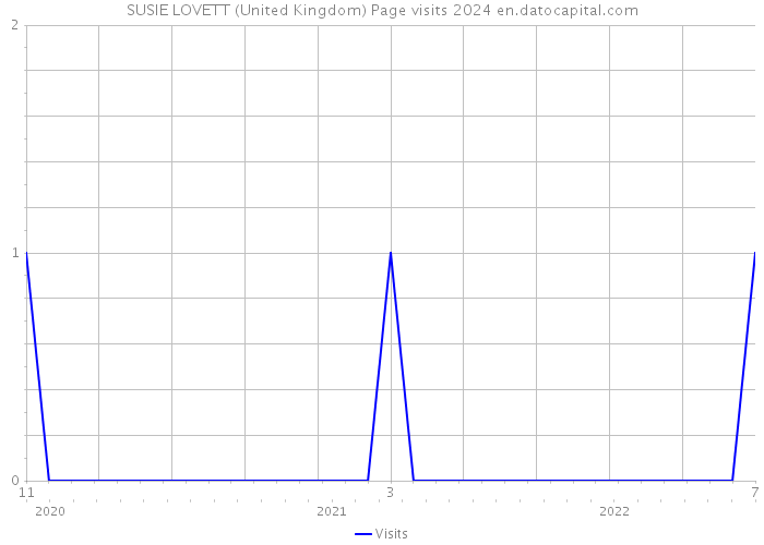 SUSIE LOVETT (United Kingdom) Page visits 2024 