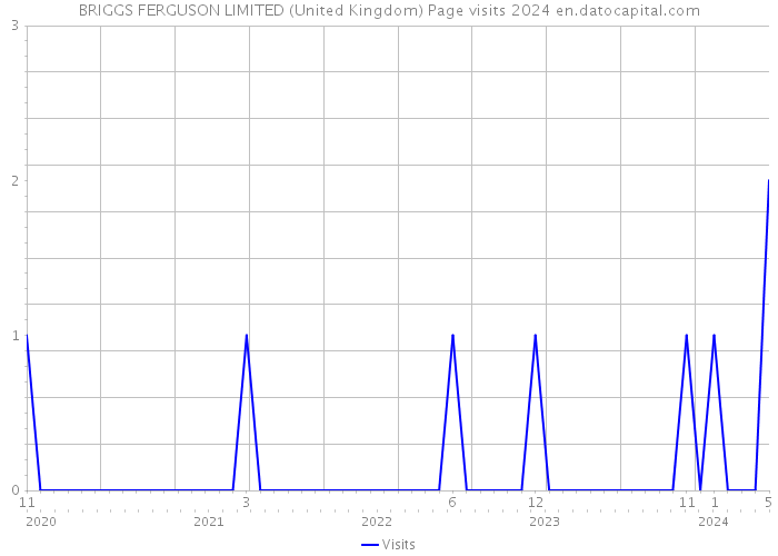 BRIGGS FERGUSON LIMITED (United Kingdom) Page visits 2024 