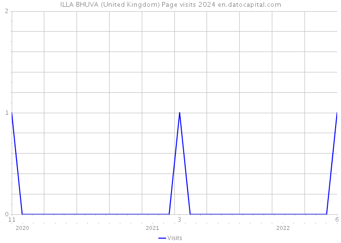 ILLA BHUVA (United Kingdom) Page visits 2024 