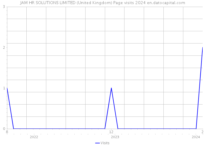 JAM HR SOLUTIONS LIMITED (United Kingdom) Page visits 2024 