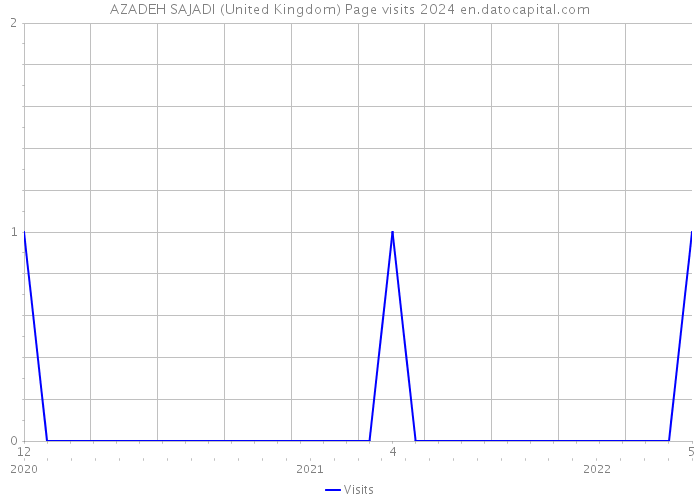 AZADEH SAJADI (United Kingdom) Page visits 2024 