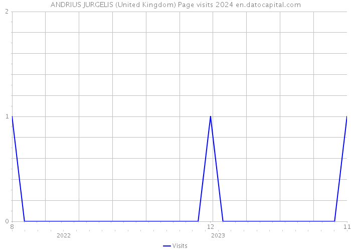 ANDRIUS JURGELIS (United Kingdom) Page visits 2024 