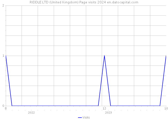 RIDDLE LTD (United Kingdom) Page visits 2024 