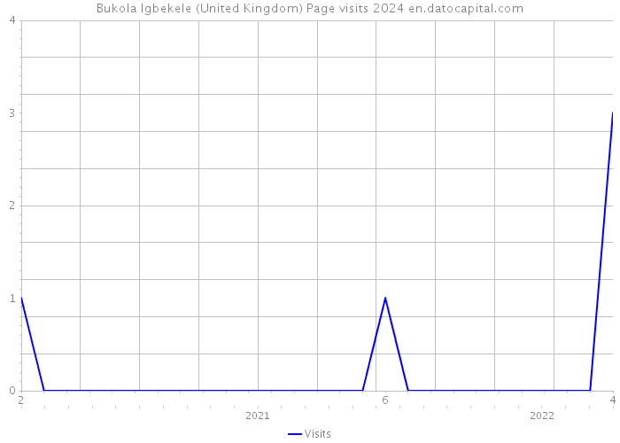 Bukola Igbekele (United Kingdom) Page visits 2024 