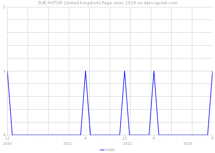 SUE ANTOR (United Kingdom) Page visits 2024 