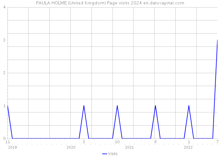 PAULA HOLME (United Kingdom) Page visits 2024 